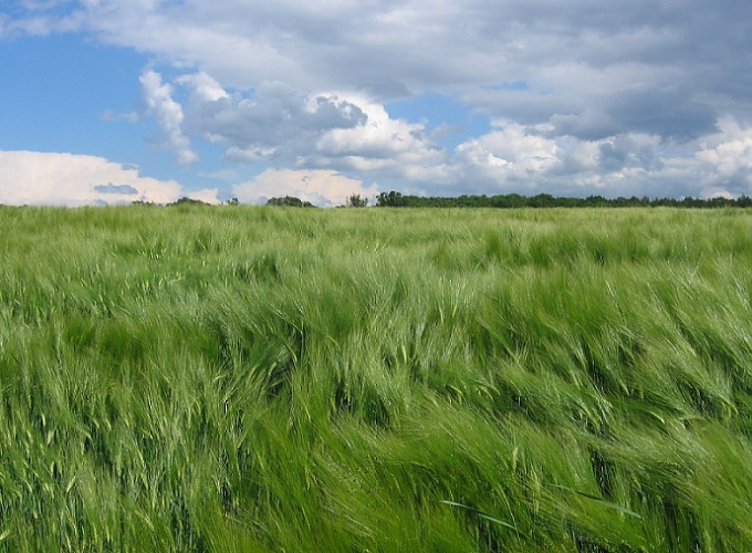 <b>Vlání...</b>