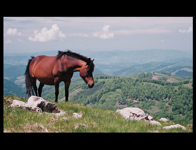 Stará Planina