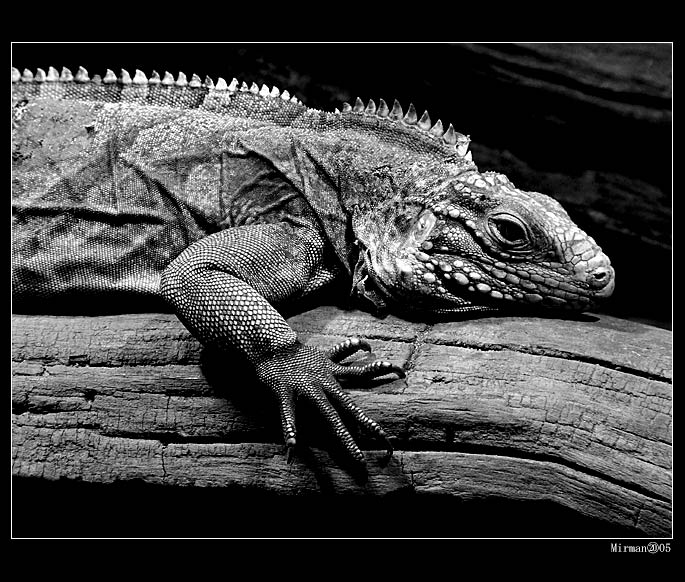 Jen tak si tu ležím....