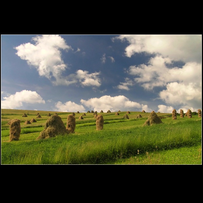 Sušení sena na Oravské Maguře