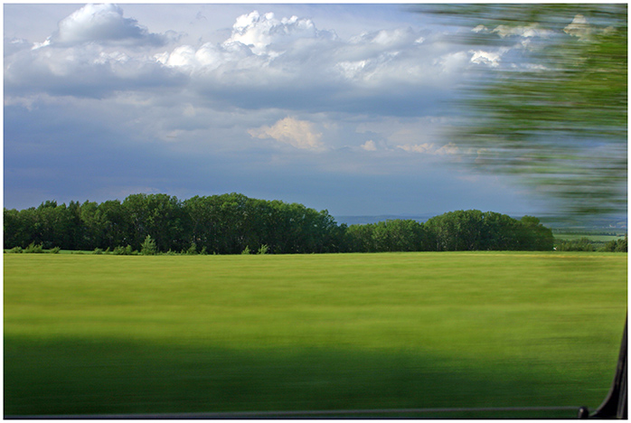 LANDSCAPE