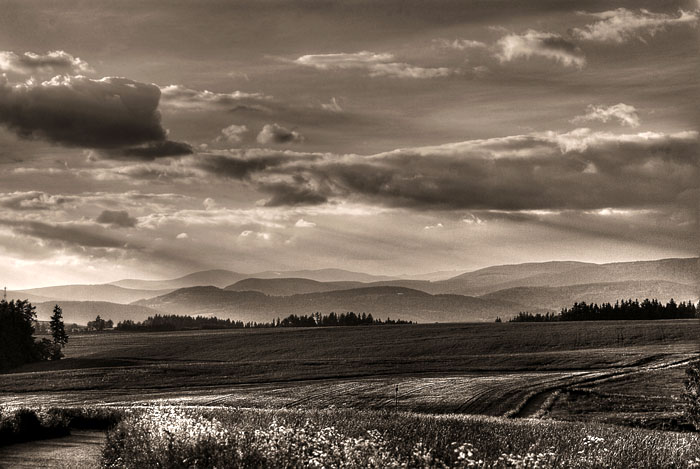 podkrkonoší