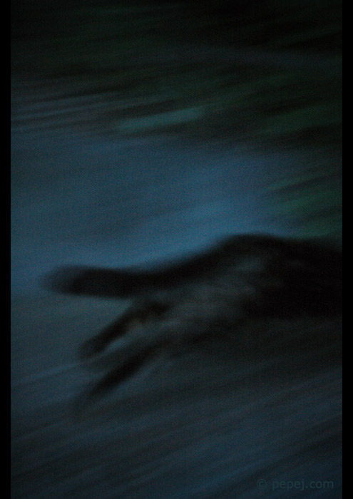 .... Escape ....