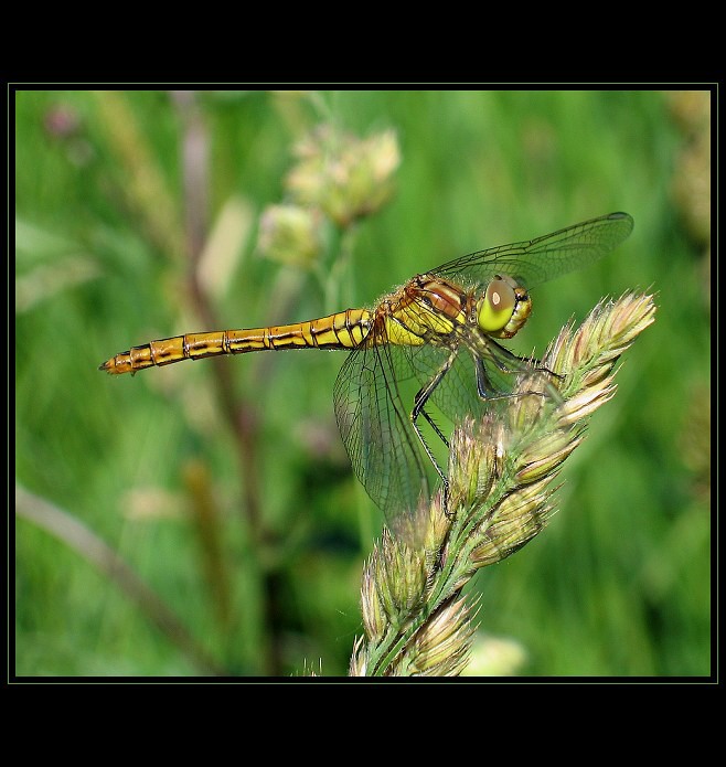 příprava k odletu ...