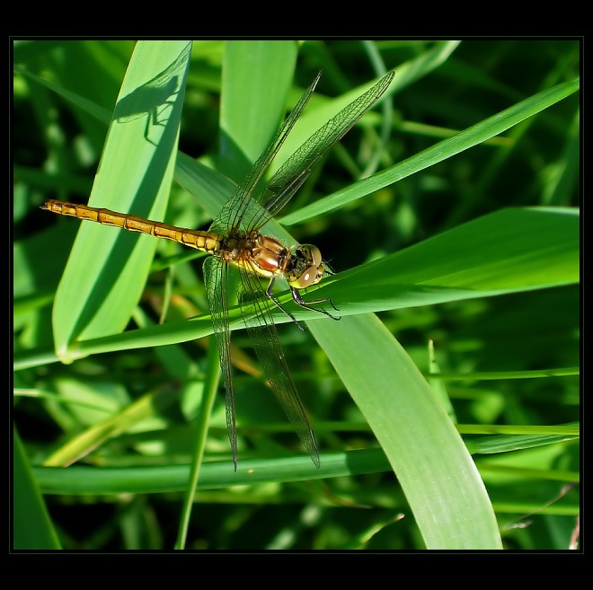 příprava k odletu II ...
