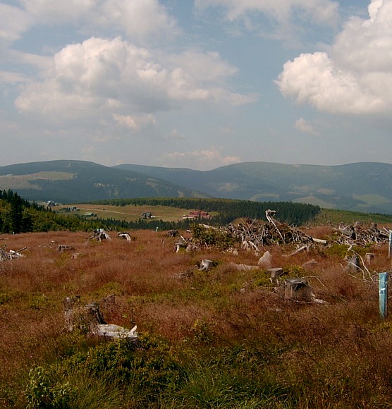 Krkonoše II.