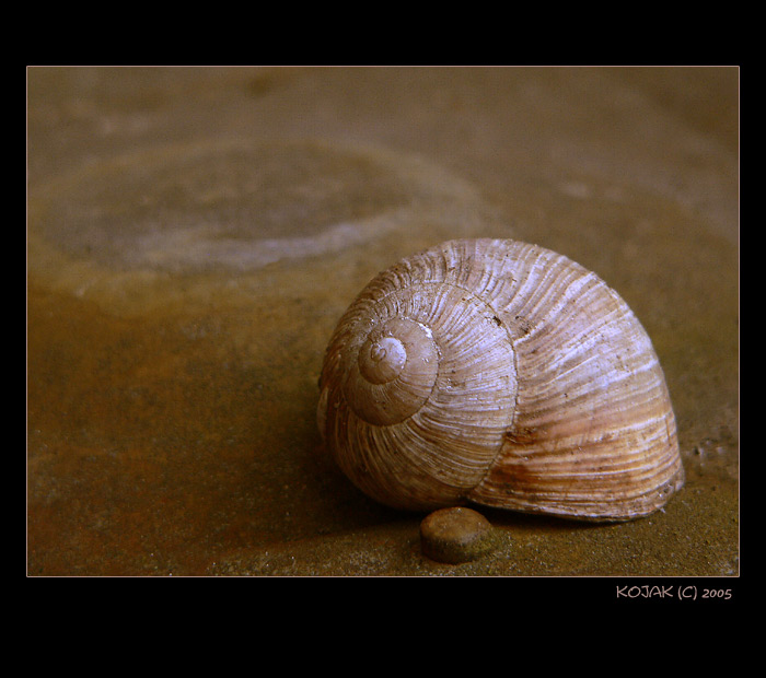 <i>..::</i> K pronajmutí <i>::..</i><br>