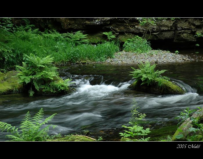Kamenice
