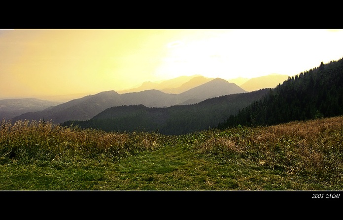 roháče