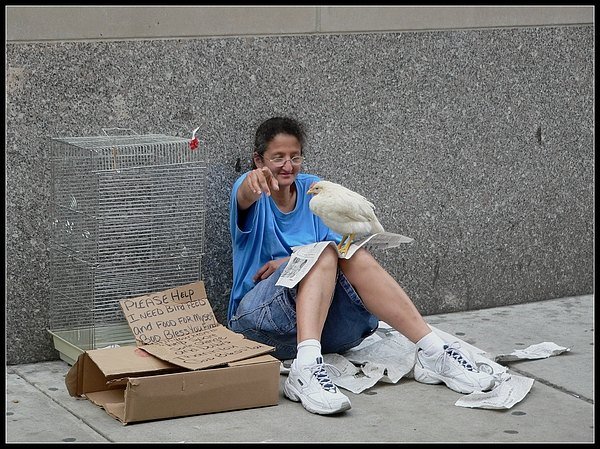 Koukej, vyleti ptacek!