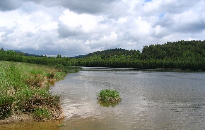 Klidná