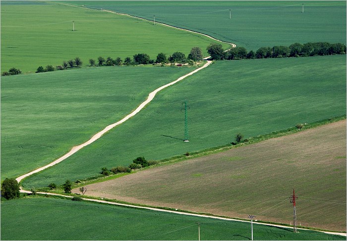 Cesta