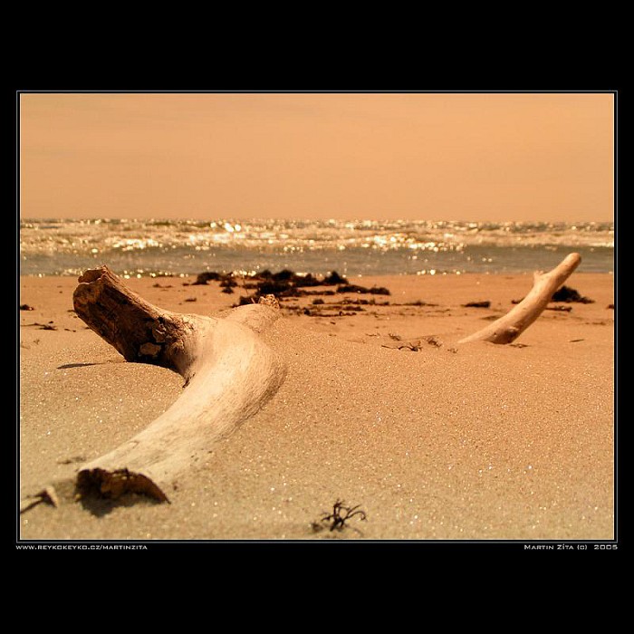 *Swedish Beach*