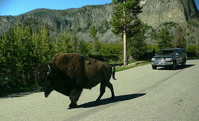 Dej přednost rohům...