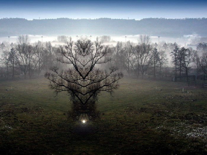 Strom, ktorý vie lietať