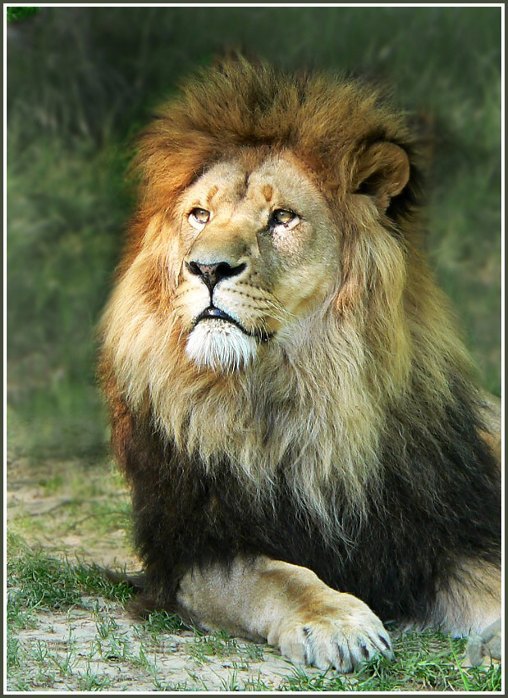 ZOO Lešná