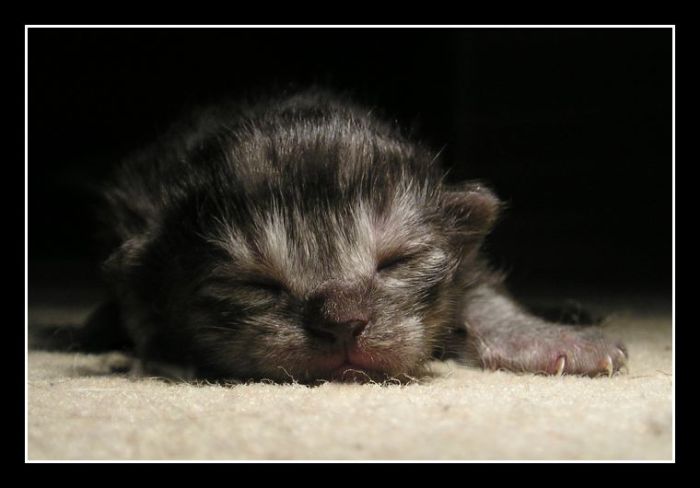 Jsem ještě malej,ale budu roztomilej doufám.