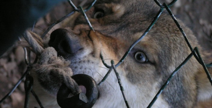 Jednou ten provaz konečně povolí...