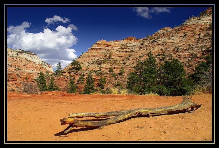 Zion NP, Utah