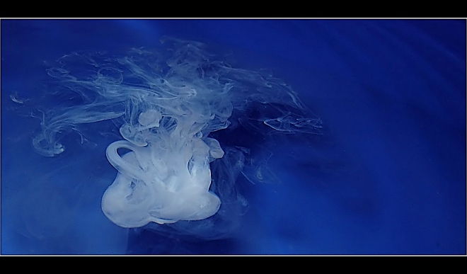 <b>.:Mléčná medúza:.</b>