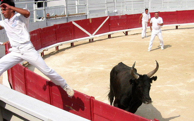 Corida