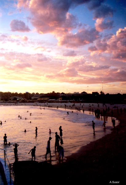 Bondi