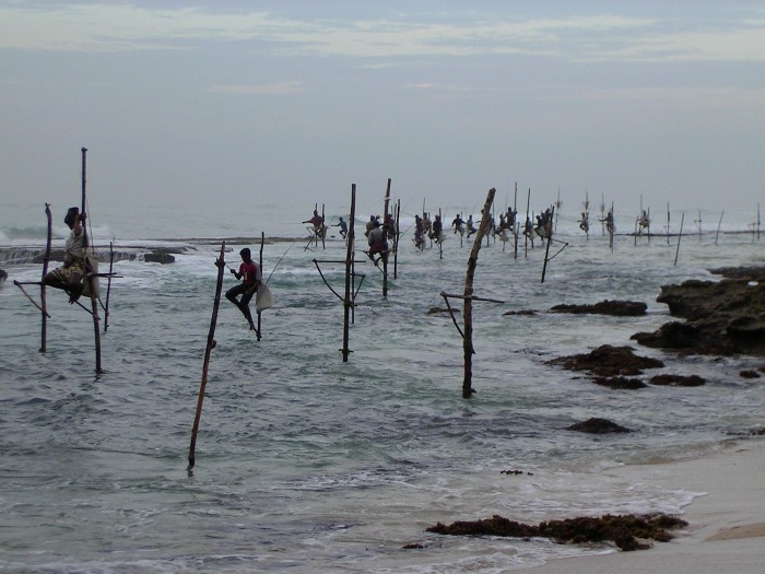 Kogala
