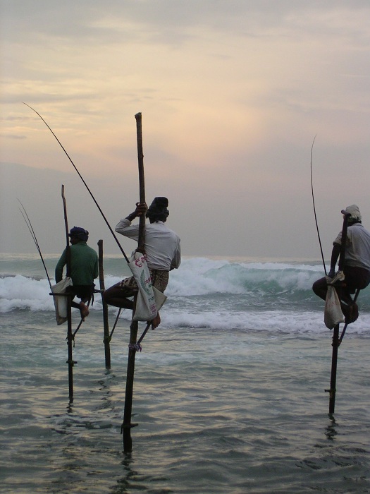 Kogala II