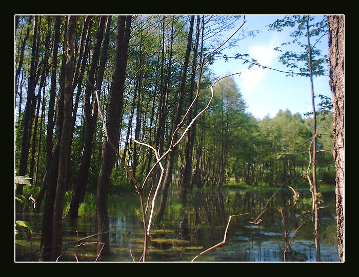 Buková 2