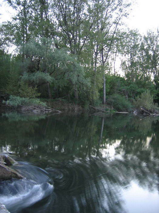 Dunajska laguna