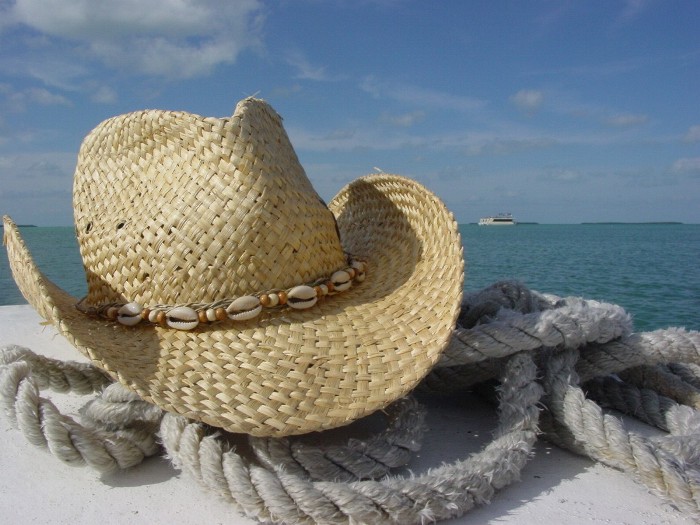 summer forever