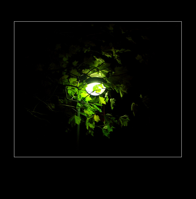zelená lampa