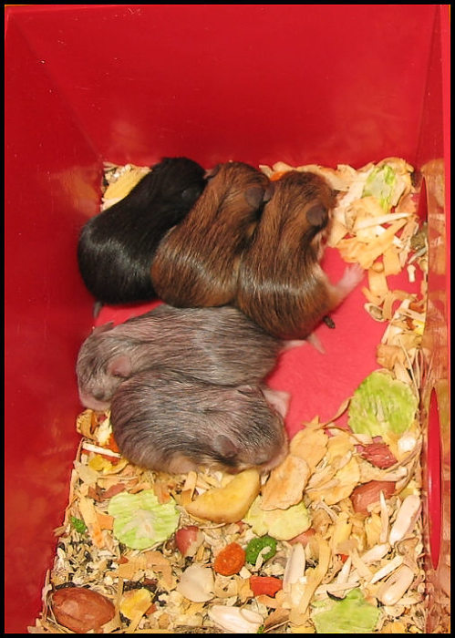 Je nám právě sedm dní...