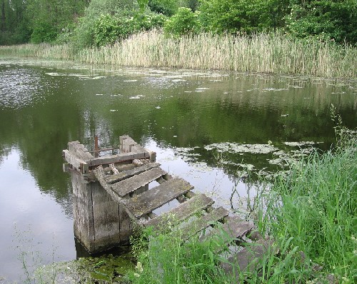 zapomenutý rybníček