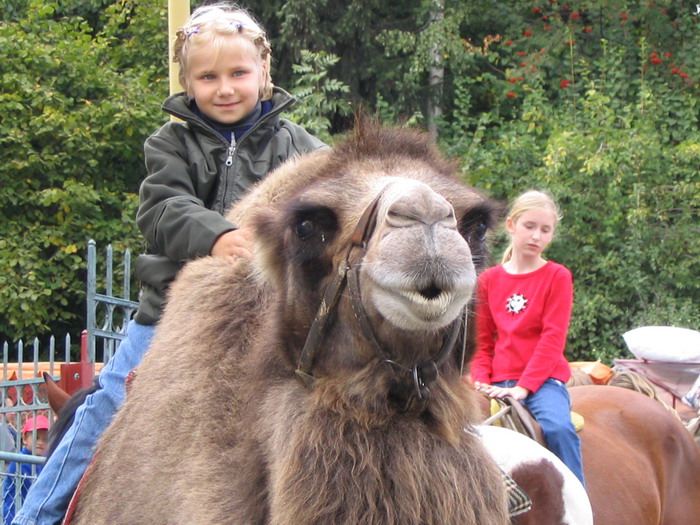 Happy výraz