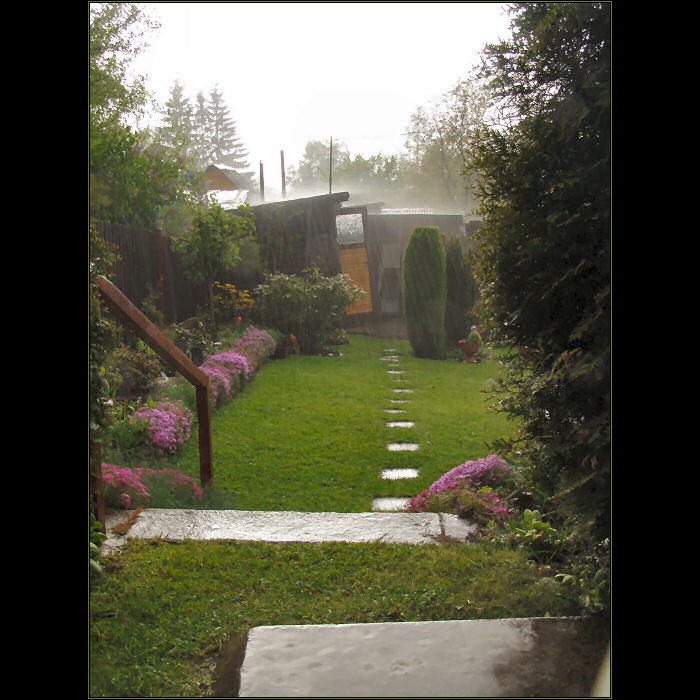 <b>.:: RAIN ::.</b>