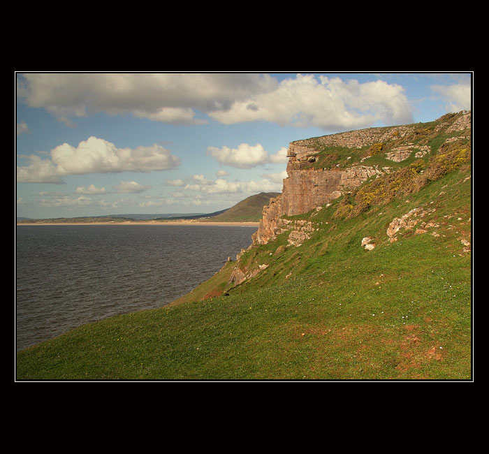 Wales VIII
