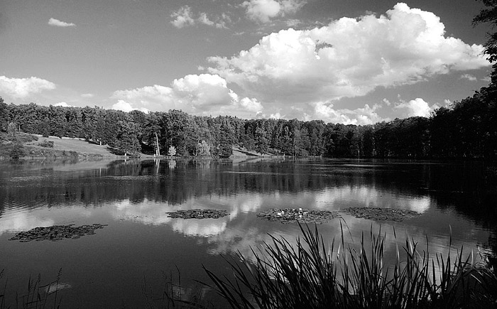 Lopatský rybník