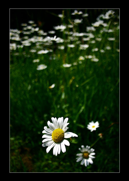 Vždy je někdo vpředu...II