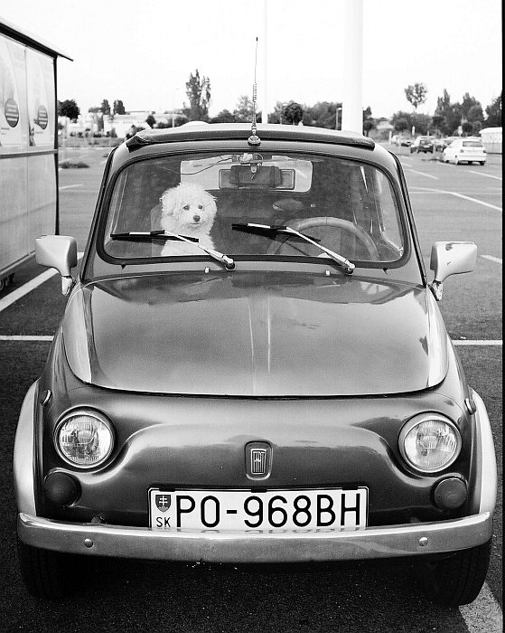 Strážca automobilu