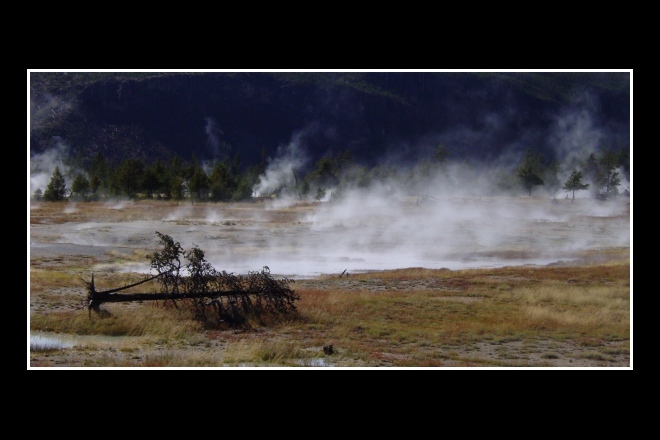 Yellowstone 2004