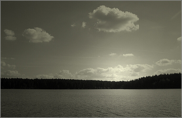 Medlov B&W