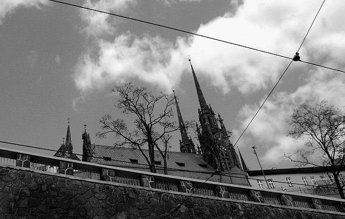 Brno pohledem šaliny