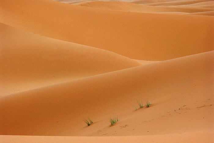Erg Chebbi VI.