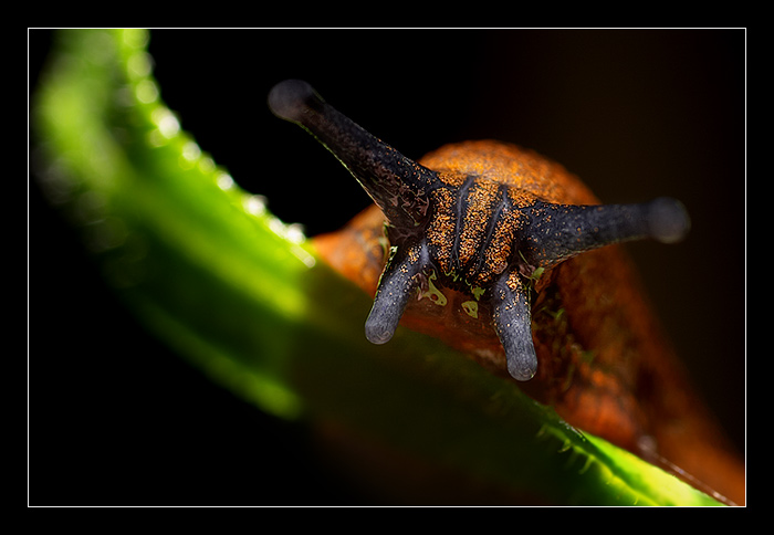 Jen si tak lezu a najednou...