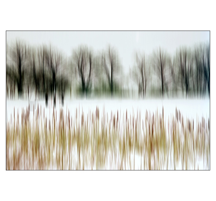 ... na zamrzlém rybníku ...