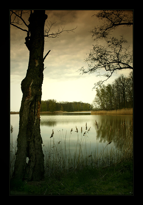 Třeboňské rybníky - obraz II.