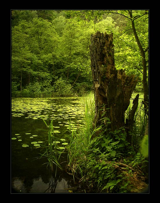 ...rybníček Brčálníček...