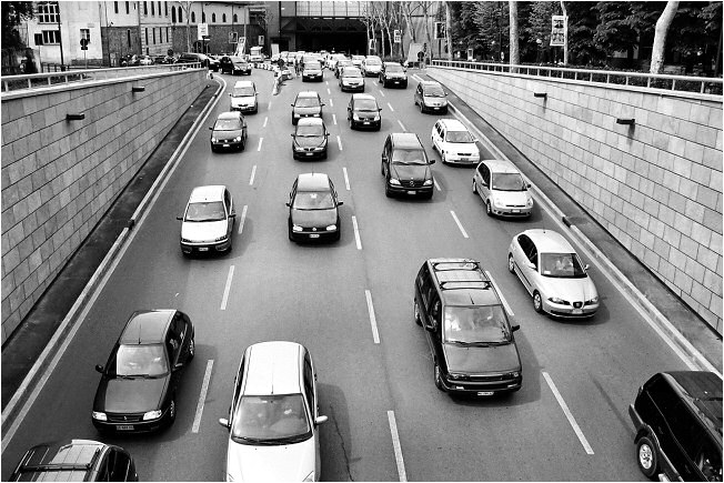 Italské postřehy: Beetles on the run!