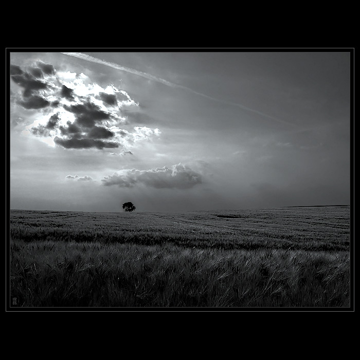 <b>POSLEDNÍ<hr></b>(...mlčící krajiny...)<br><b>